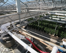 Vibratory Screener Solves a Water-Recycling Problem for a Wholesale Greenhouse
